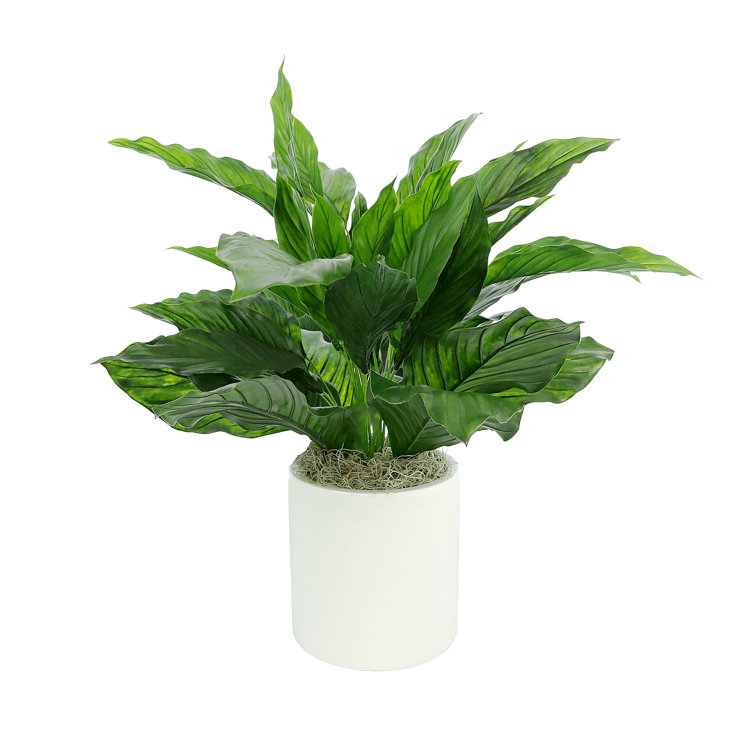 Primrue 17'' Artificial Peace Lily Plant in Pot Wayfair